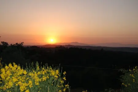 Maison Ginestra à Montaione : 360° sur les collines toscanes : photo 17