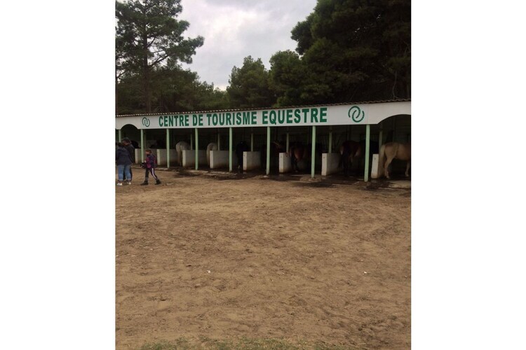Maison languedocienne 6 pers. à 15 min de la plage - Photo 16