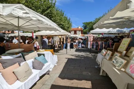 476466, Maison 4 personnes à Hossegor : photo 27