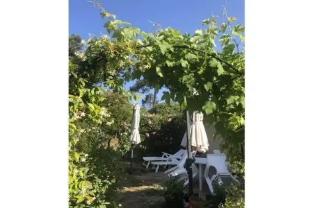 457378, Maison 4 personnes à Lacanau : photo 3
