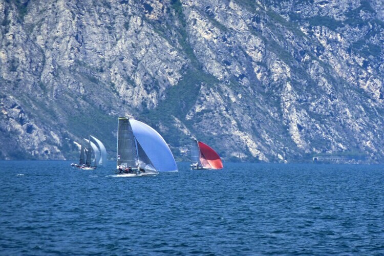 Maison 1 chambre à Malcesine, oliveraie privée - Photo 22