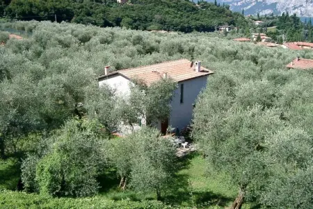 Maison 1 chambre à Malcesine, oliveraie privée