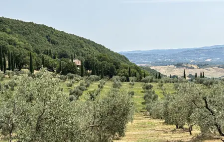 Villa en pierre à Allerona, 7 chambres et piscine : photo 9