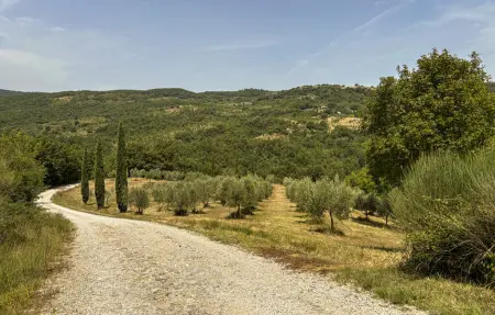Villa en pierre à Allerona, 7 chambres et piscine : photo 24
