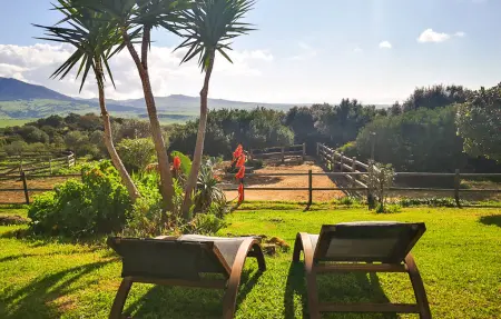Finca La Rosa, Maison 12 personnes à Tarifa - Photo 17