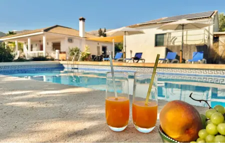 Maison 4 chambres avec piscine à Periana : photo 11