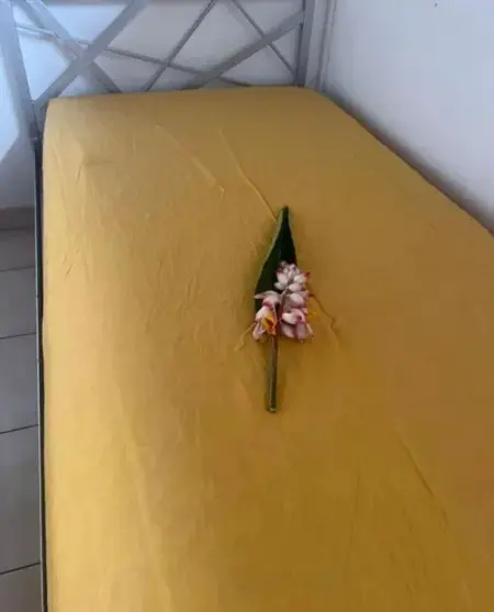 Appartement Le François 65 m² avec jardin, Appartement 4 personnes à Le François - Photo 12