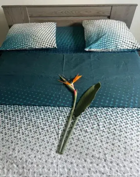 Appartement Le François 65 m² avec jardin, Appartement 4 personnes à Le François - Photo 13