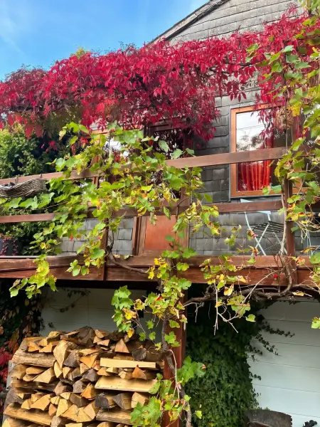 Studio avec cheminée et jardin à Hamois, Belgique : photo 11