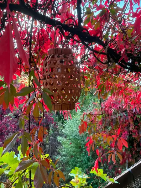Studio avec cheminée et jardin à Hamois, Belgique : photo 15