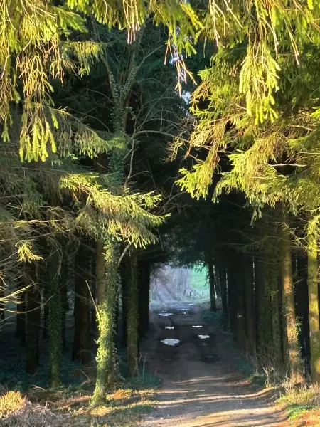 Studio avec cheminée et jardin à Hamois, Belgique : photo 19
