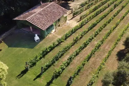 771145, Maison 3 personnes à Fauglia (PI) : photo 7