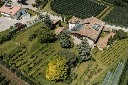 593904, Maison 2 personnes à Caldaro sulla strada del vino : photo 26