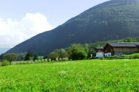 75969, Maison 6 personnes à Vahrn : photo 3