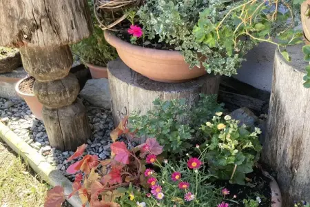 75969, Maison 6 personnes à Vahrn : photo 7