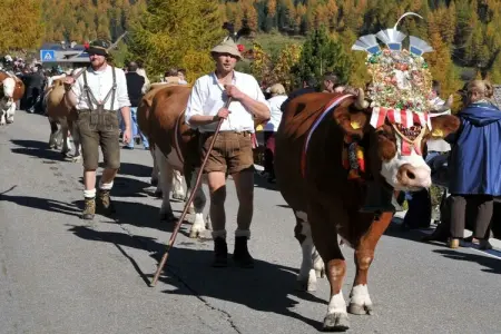 267949, Maison 7 personnes à Steinhaus Ahrntal : photo 21