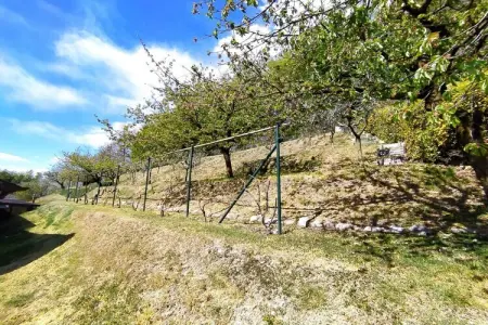 544906, Maison 5 personnes à Varese : photo 26