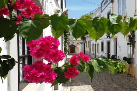 165614, Maison 4 personnes à Tavira : photo 2