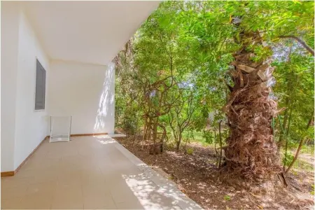 481972, Maison 5 personnes à Pantanagianni, Carovigno : photo 4