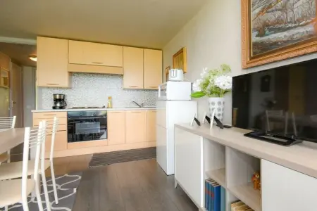 207321, Appartement de vacances avec 2 chambres - Photo 17