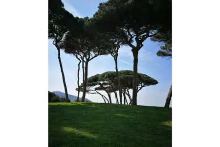 538600, Maison 6 personnes à Monterotondo Marittimo (GR) : photo 30