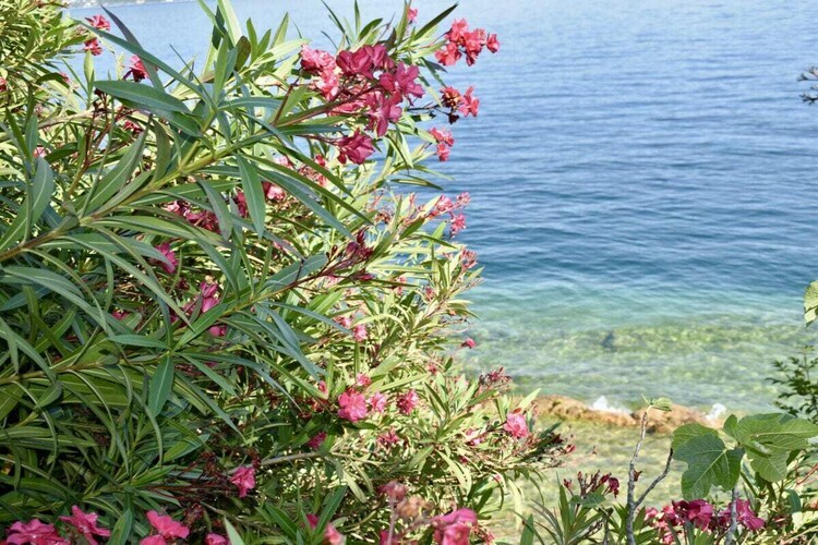 Maison Marierose au lac de Garde avec ponton privé - Photo 33