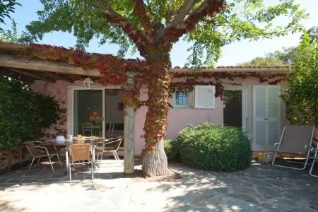 443851, Villa 4 personnes à Porto Vecchio : photo 1
