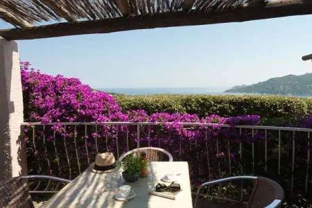 443852, Villa 4 personnes à Porto Vecchio : photo 2
