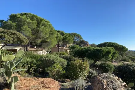 443852, Villa 4 personnes à Porto Vecchio : photo 13