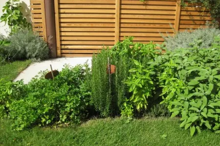 Maison 4 personnes avec jardin, vélos et barbecue à Gargazon : photo 8