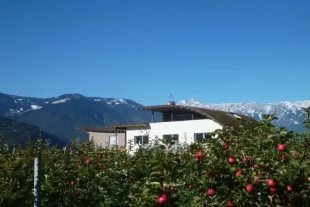Maison 4 personnes avec jardin, vélos et barbecue à Gargazon : photo 13