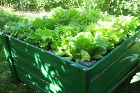 Maison 4 personnes avec jardin, vélos et barbecue à Gargazon : photo 14
