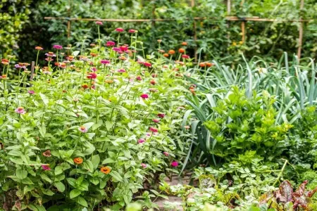 Maison 4 personnes avec jardin, vélos et barbecue à Gargazon : photo 15