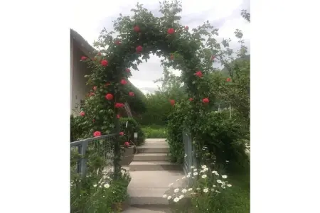 Maison 4 personnes avec jardin, vélos et barbecue à Gargazon : photo 17