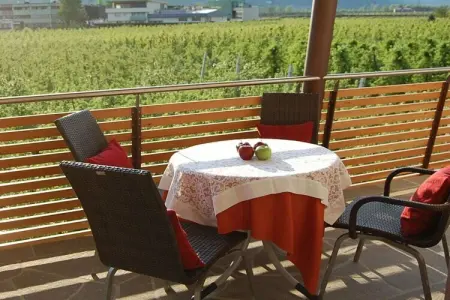 Maison 4 personnes avec jardin, vélos et barbecue à Gargazon : photo 28