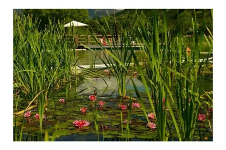 Maison 4 personnes avec jardin, vélos et barbecue à Gargazon : photo 37