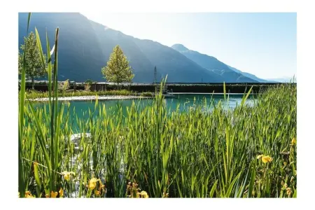 Maison 4 personnes avec jardin, vélos et barbecue à Gargazon : photo 39