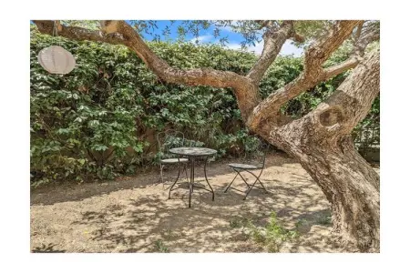 384202, Maison 6 personnes à Armissan : photo 9