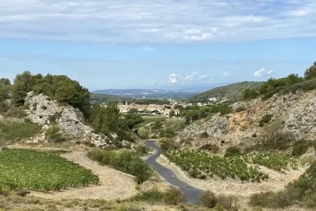 384202, Maison 6 personnes à Armissan : photo 32
