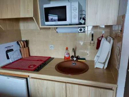 Location appartement à Thollon les Mémises, Studio chaleureux Thollon-les-Mémises 28 m², vue lac