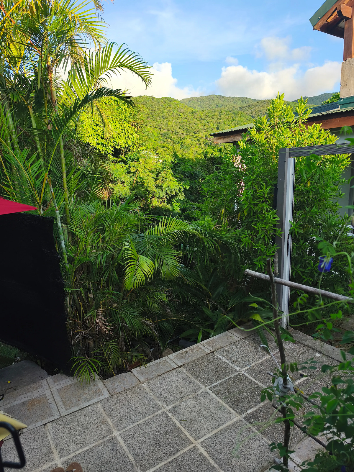 Bungalow avec jacuzzi privé à Deshaies - Photo 16