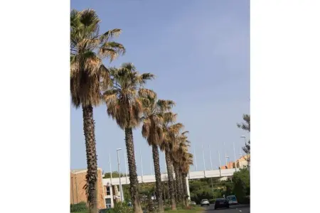46800, Maison de vacances à Vias avec piscine - Photo 28