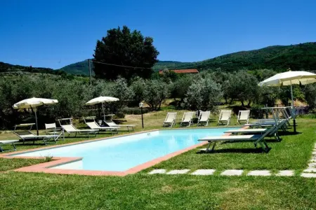 Maison 6 pers. à Castelfranco di Sopra, piscine et terrasse : photo 7