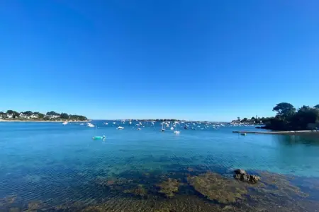 Maison bretonne 8 personnes, jardin 1500 m², 500 m plage : photo 24