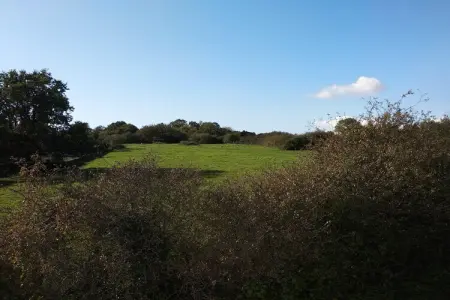 Maison bretonne 8 personnes, jardin 1500 m², 500 m plage : photo 35