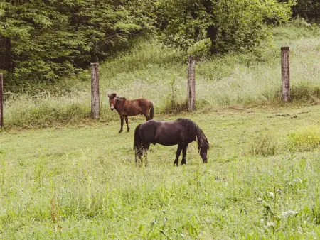 Maison Ranch Corral avec piscine à Veliko Brdo : photo 13
