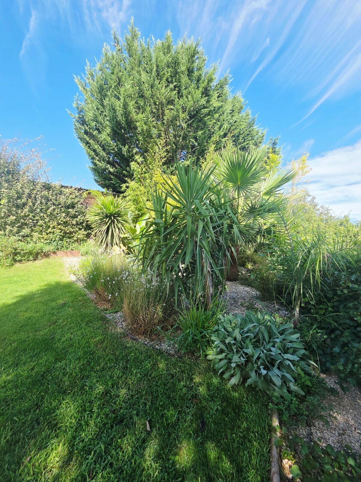 Maison 10 pers. à Collias : piscine toute l'année et jeux - Photo 81