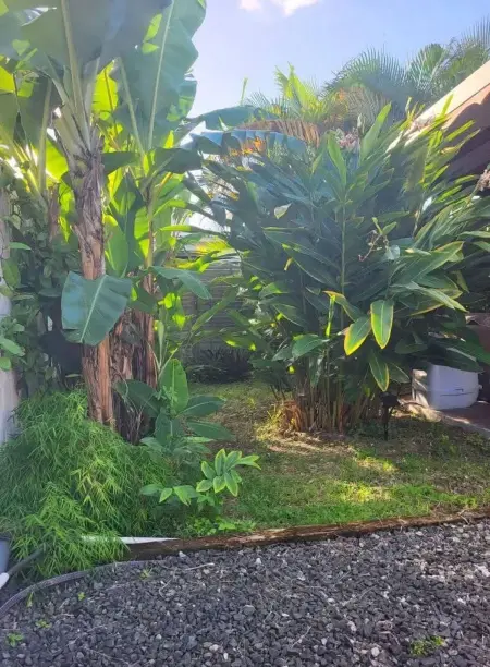 Maison plain-pied avec jacuzzi privé à Saint-François, Guadeloupe : photo 16