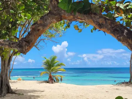 Maison plain-pied avec jacuzzi privé à Saint-François, Guadeloupe : photo 21