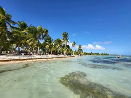 Maison plain-pied avec jacuzzi privé à Saint-François, Guadeloupe : photo 22